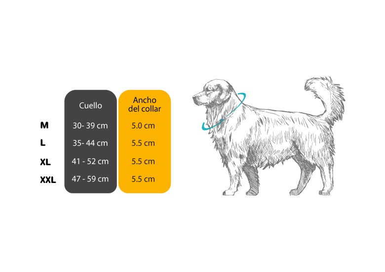 Guía de medidas collares para perros MaxTrek 