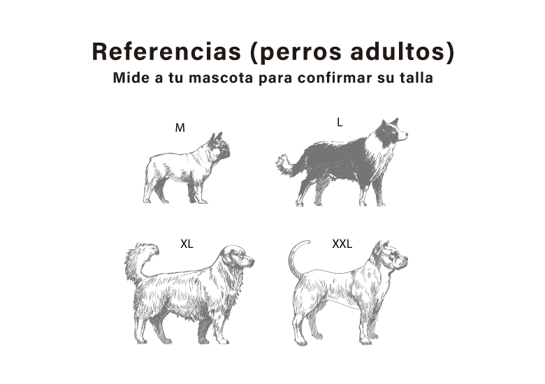 Referencias perros pequeños, perros medianos, perros grandes