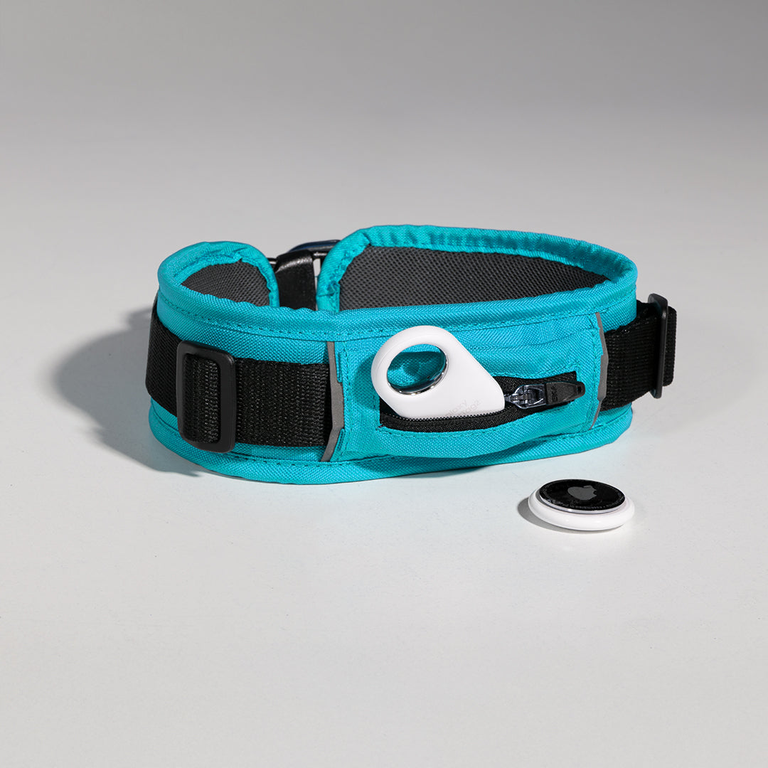 Un collar para perros grandes color turquesa con un AirTag y un SmartTag