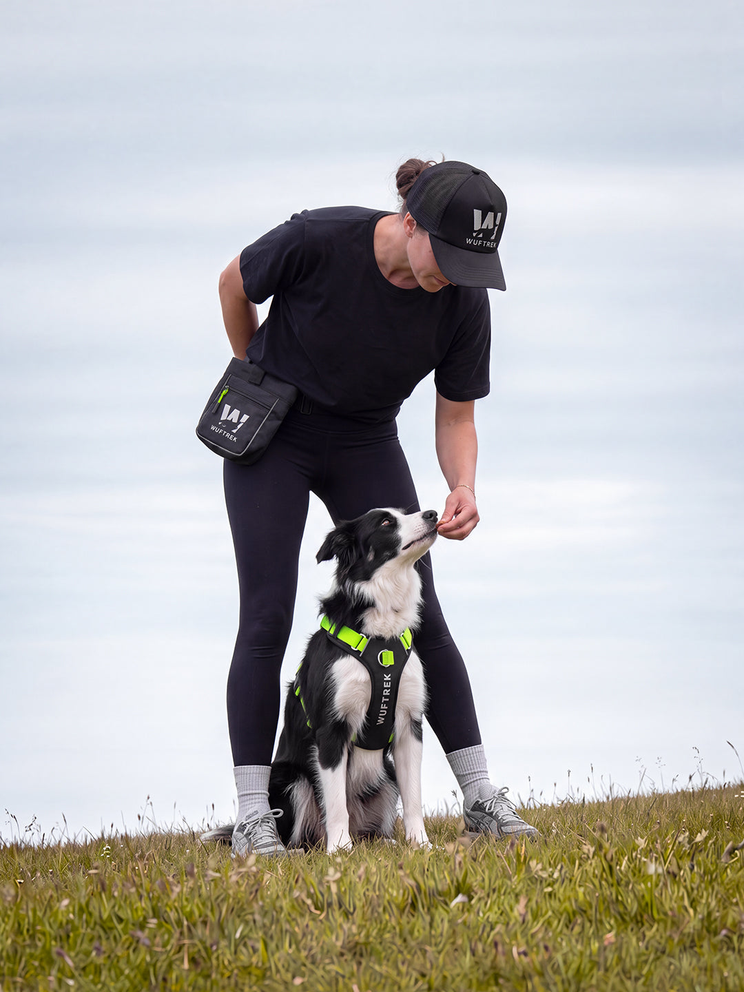Woman training a Border Collie wearing a WUFTREK harness