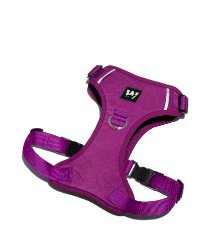 Pechera Anti tirones para Perros EasyTrek vista de frente color violeta