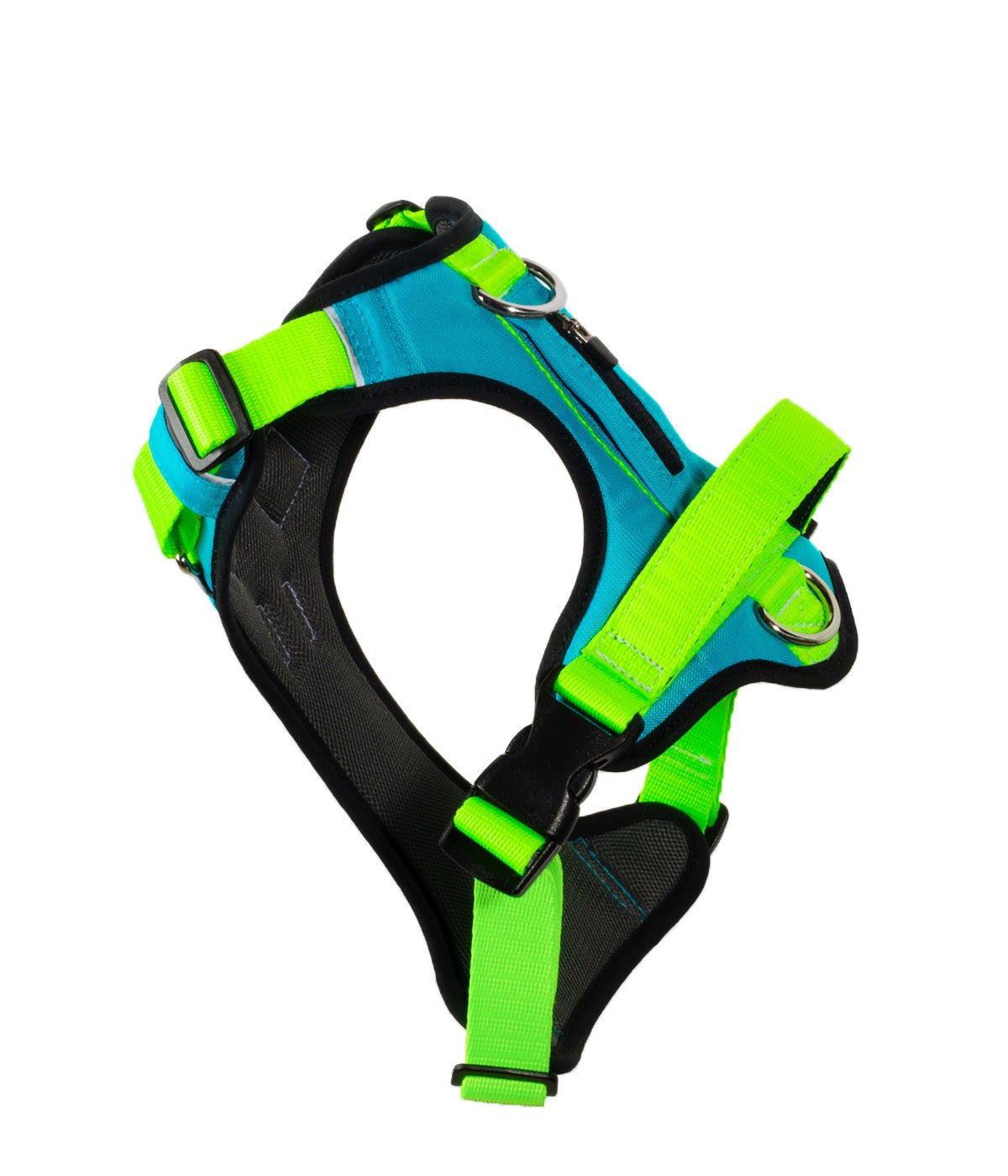 Rear view of the blue and green AirTrek dog harness