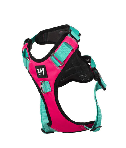Pechera para perros AirTrek color fucsia y menta 