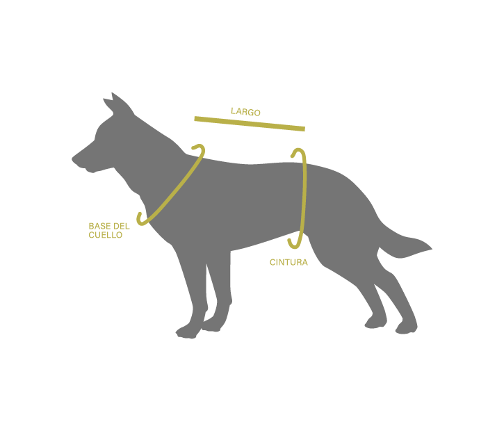 Referencia de guia de medidas del arnes para canicross