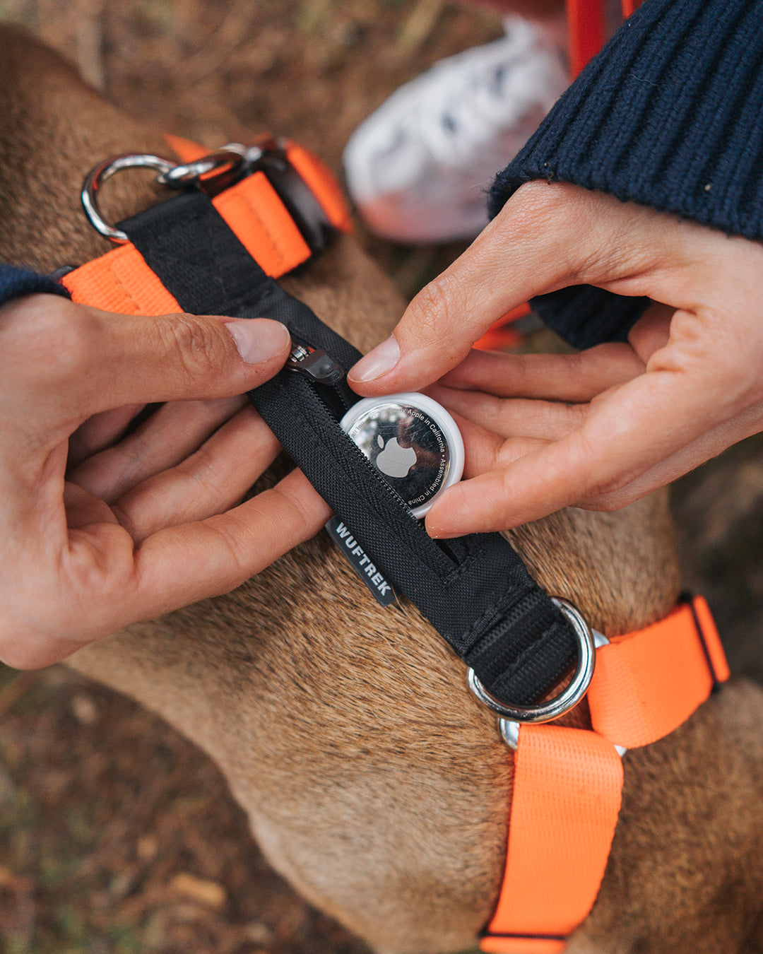 Una mujer colocando un AirTag de Apple en un arnés para perros color naranja