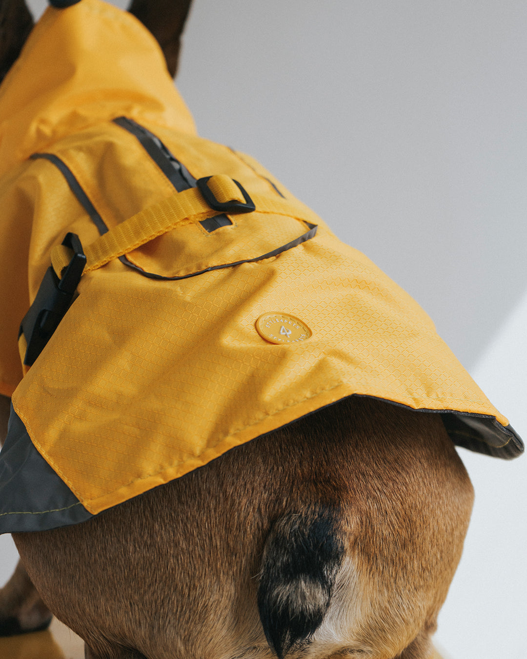 Un bulldog francés usando un impermeable para perros color amarillo