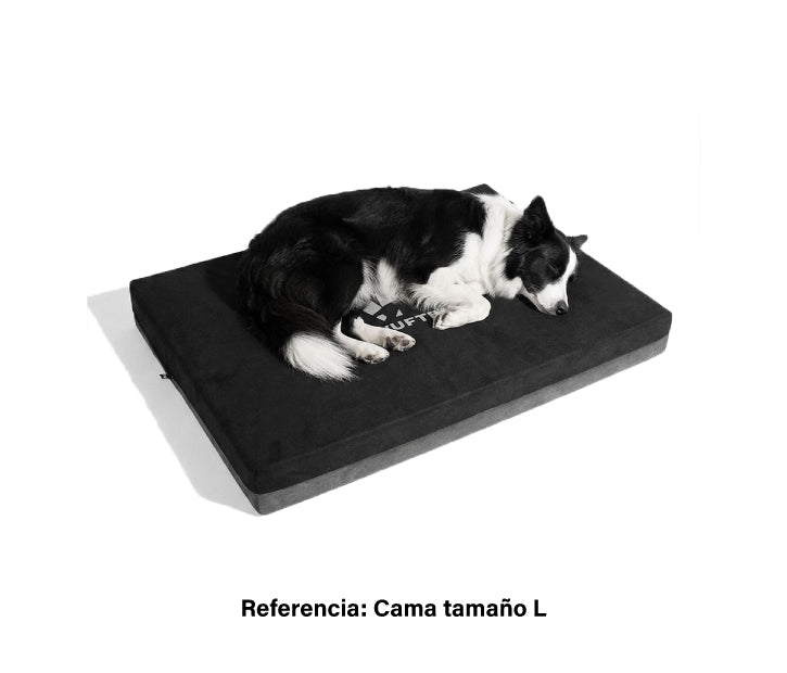 Un perro border collie durmiendo de lado en un colchon ortopedico