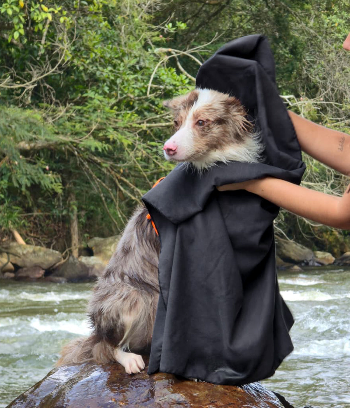 Una mujer secando a un perro con una toalla de microfibra ultra absorbente