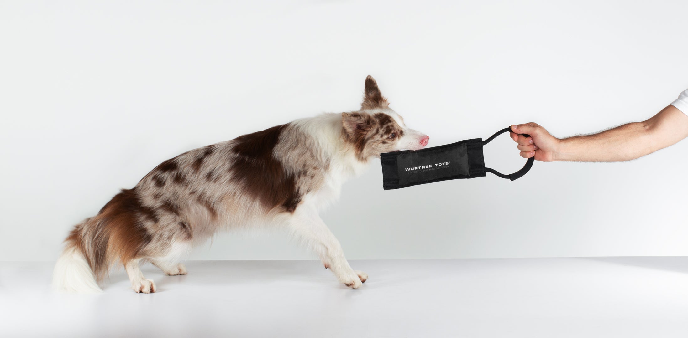 Dog playing with a WUFTREK dog toy